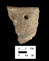 Sullivan Cove rim sherd (1 of 2) decorated with punctations and cord-wrapped dowel impressions from the Hallowing Point site 18CV31/1.